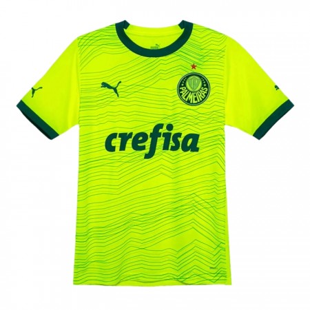Palmeiras Alternativní 2023-24 - Fotbalové Dresy (S/S)